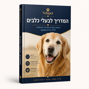 מדריך אינטרנטי לכלב הבריא