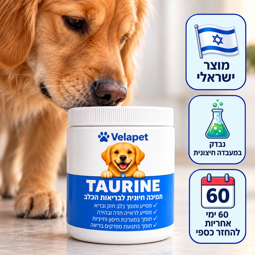 טאורין לכלבים