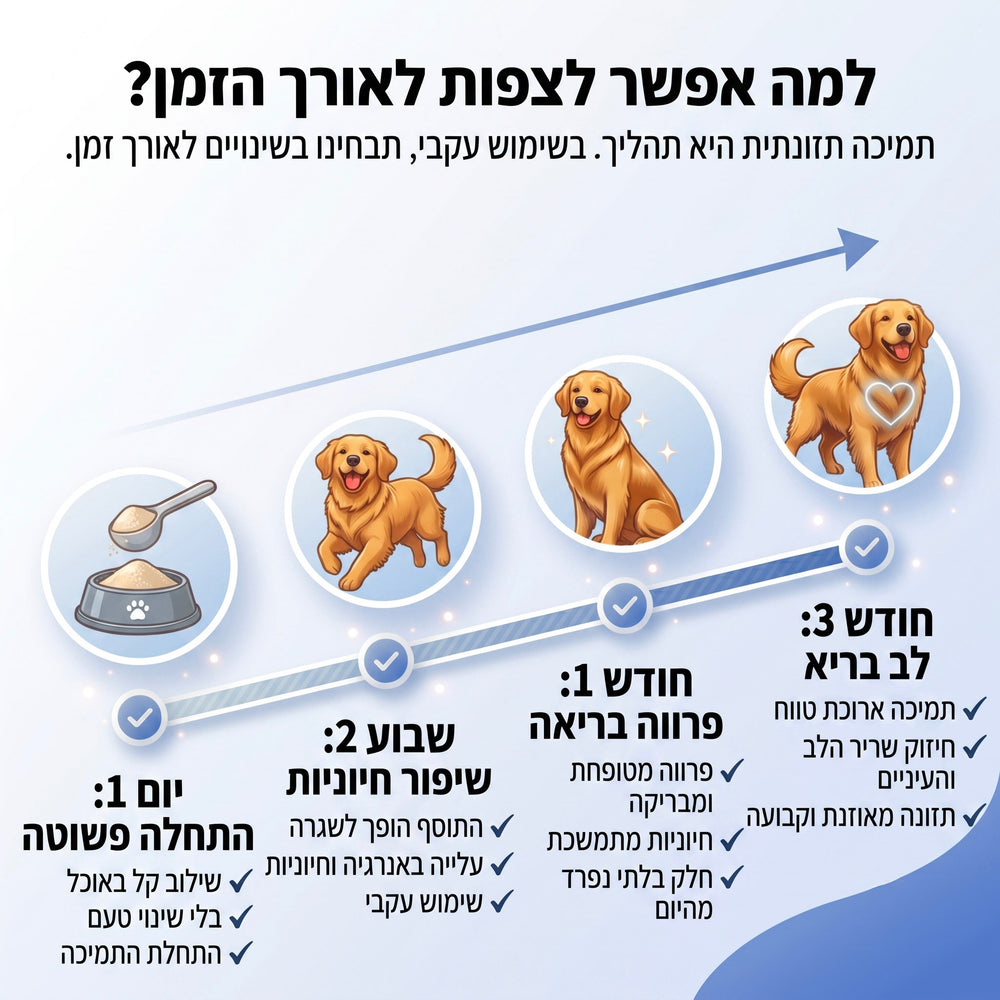 טאורין לכלבים
