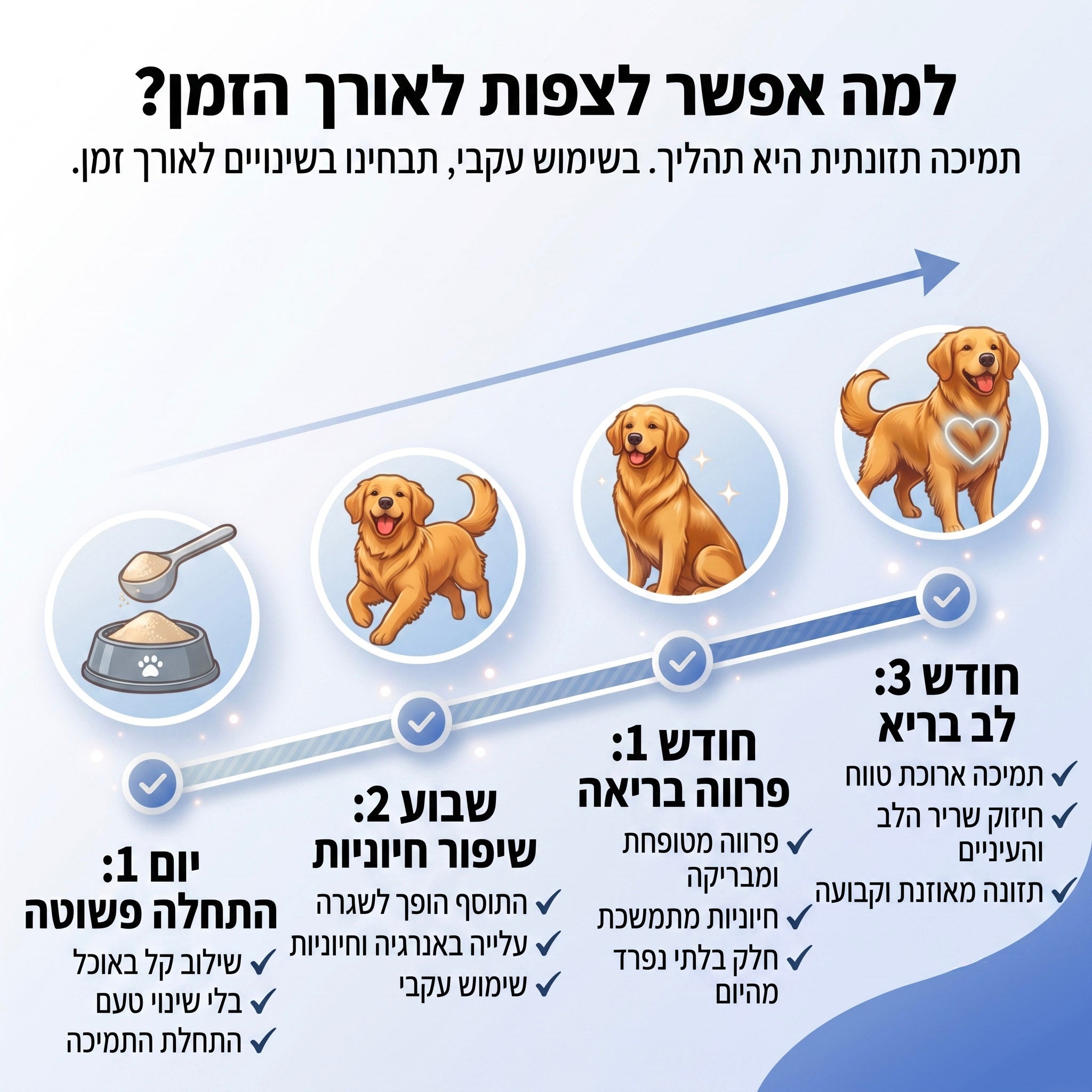 טאורין לכלבים