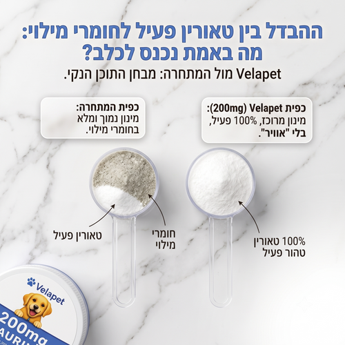 טאורין לכלבים