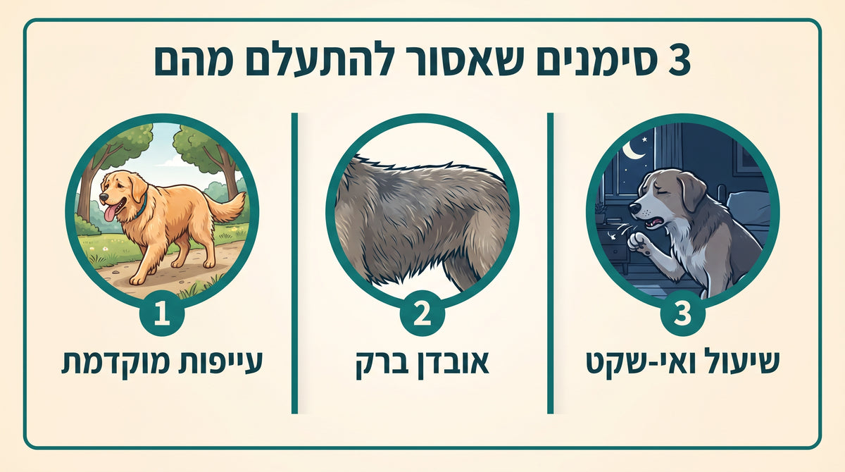 אינפוגרפיקה: מזון יבש בחום גבוה שוחק טאורין ומאיץ הזדקנות