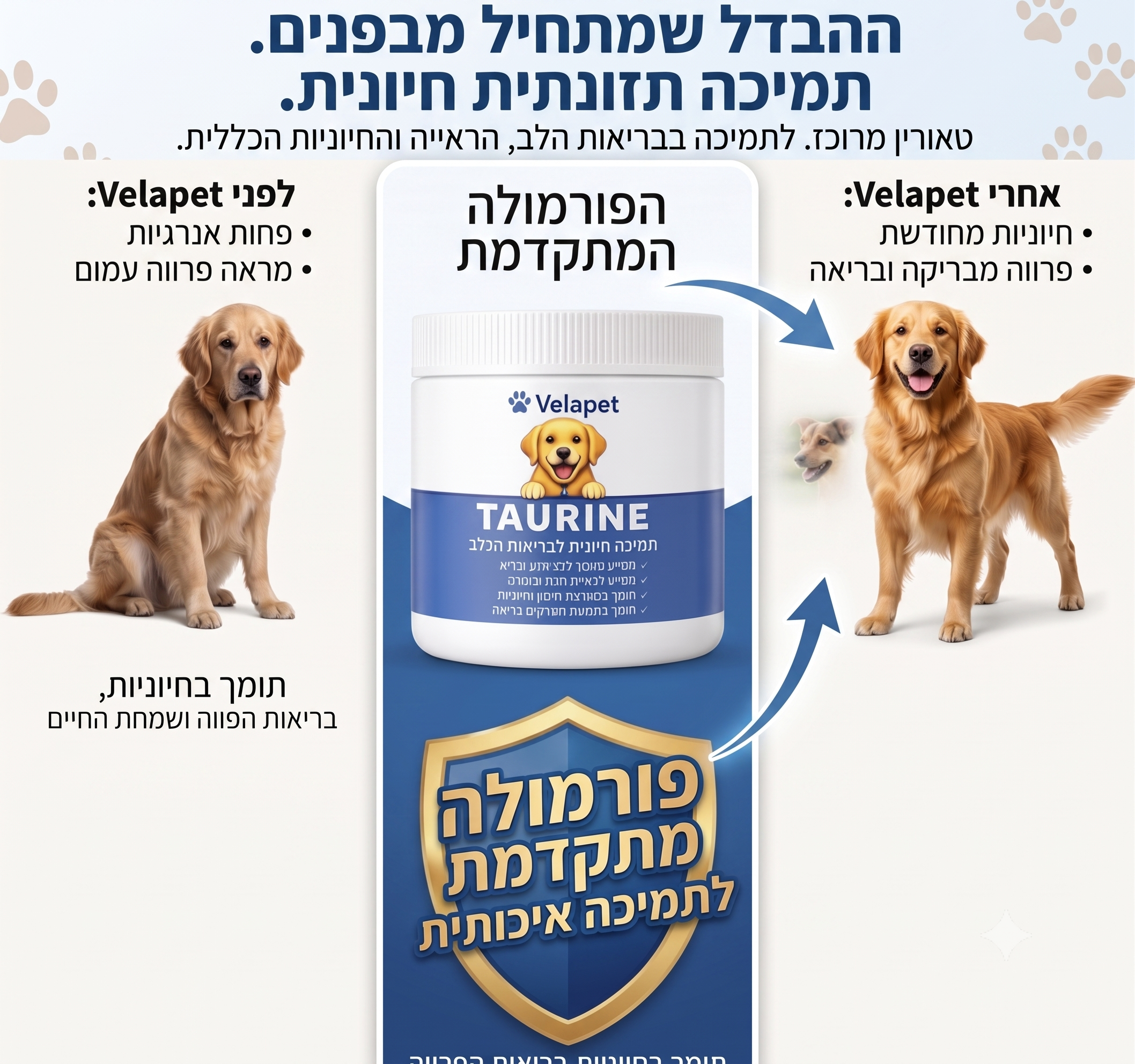 טאורין לכלבים