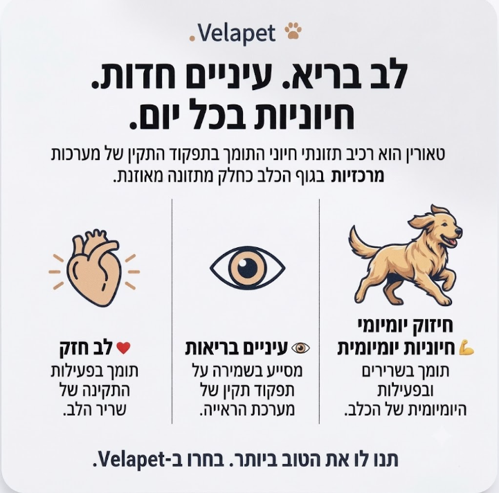 טאורין לכלבים